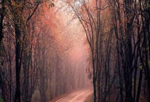 天涯神贴真假难辨？老司机带你扒一扒那些年我们当下的爆帖八卦。